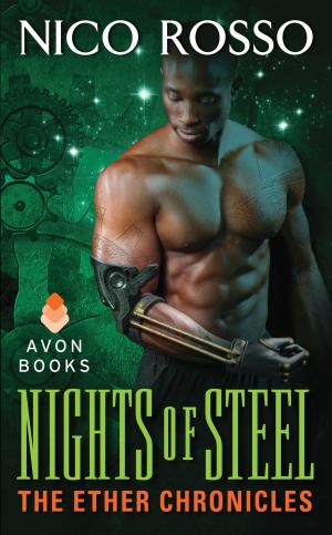 Cover of the book Nights of Steel by Megan Frampton
