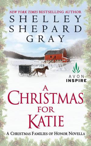 bigCover of the book A Christmas for Katie by 