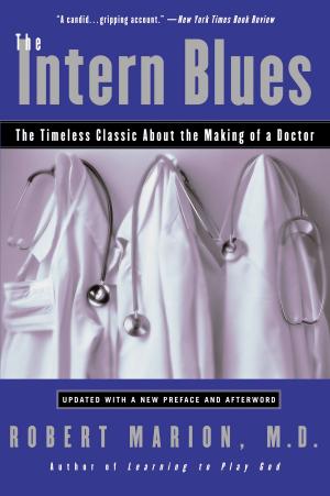 Book cover of The Intern Blues