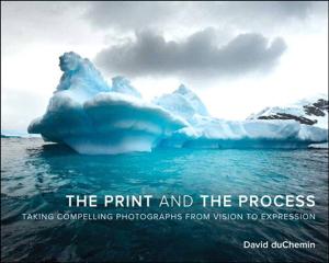 Cover of the book The Print and the Process by Scott Kelby