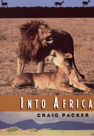 Cover of the book Into Africa by E. T. A. Hoffmann