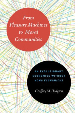 Cover of the book From Pleasure Machines to Moral Communities by Anne Kelly Knowles