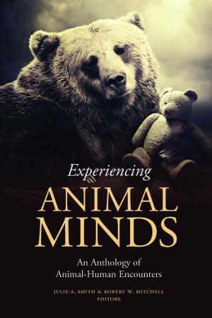 Cover of the book Experiencing Animal Minds by Professor Michael D. Jackson