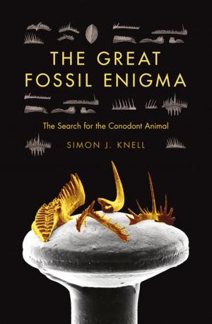 Cover of the book The Great Fossil Enigma by Alona Frankel
