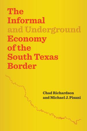 Book cover of The Informal and Underground Economy of the South Texas Border