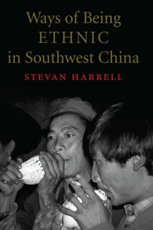 bigCover of the book Ways of Being Ethnic in Southwest China by 