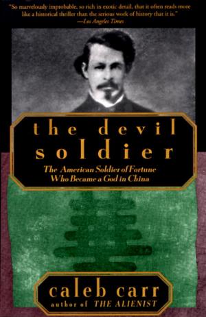 Book cover of The Devil Soldier