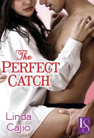Cover of the book The Perfect Catch by A.I. Cudil