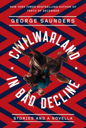 Book cover of CivilWarLand in Bad Decline