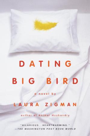 Cover of the book Dating Big Bird by Nancy Thayer