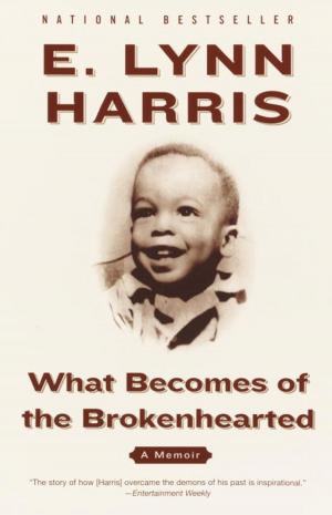 Book cover of What Becomes of the Brokenhearted