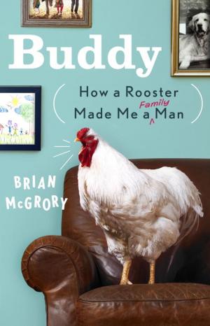 Cover of the book Buddy by Al Molaison