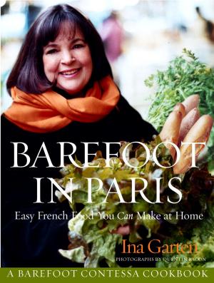 Cover of the book Barefoot in Paris by Potter