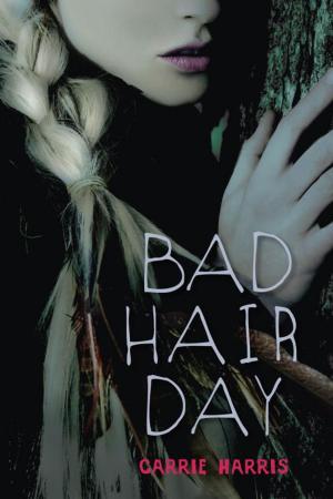 Cover of the book Bad Hair Day by Ruth Padel