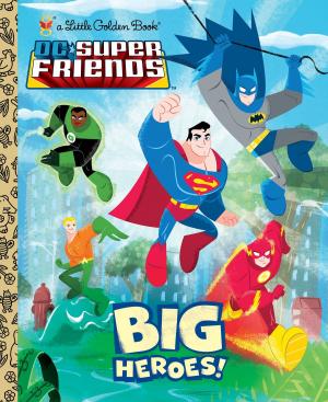 Cover of the book Big Heroes! (DC Super Friends) by Dick King-Smith