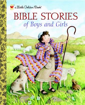 Cover of the book Bible Stories of Boys and Girls by Stephen Krensky