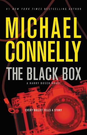 Cover of the book The Black Box by Richard K. Bernstein