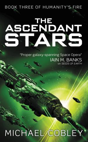 Cover of the book The Ascendant Stars by Tom Holt
