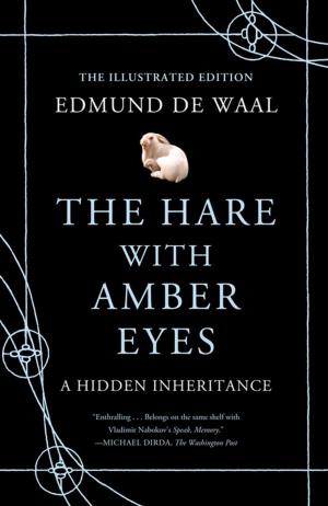 Cover of the book The Hare with Amber Eyes (Illustrated Edition) by Reed Martin