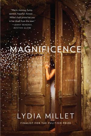 Cover of the book Magnificence: A Novel by Rohan Quine