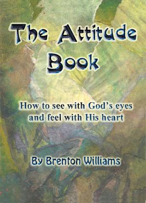 Book cover of The Attitude Book: How To See With God's Eyes And Feel With His Heart