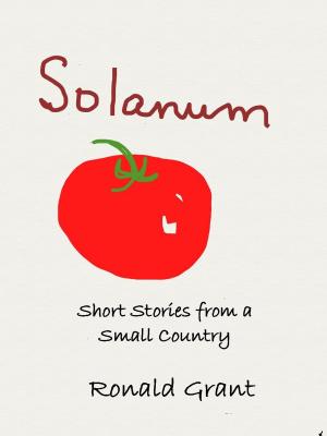 Book cover of Solanum