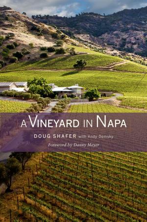 Cover of the book A Vineyard in Napa by John Iceland