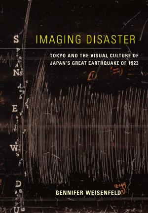 Book cover of Imaging Disaster