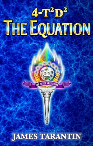 Cover of the book The Equation by M. L. Chesley