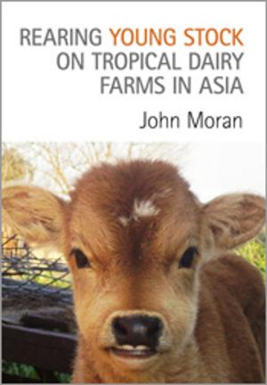 Cover of the book Rearing Young Stock on Tropical Dairy Farms in Asia by CB Schedvin