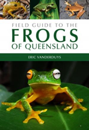 Cover of the book Field Guide to the Frogs of Queensland by DJ Patterson, MA Burford
