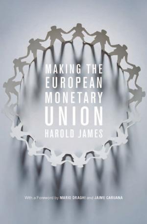 Cover of the book Making the European Monetary Union by Evan Thompson