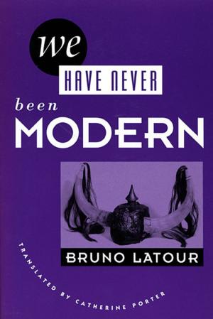 Cover of the book We Have Never Been Modern by 