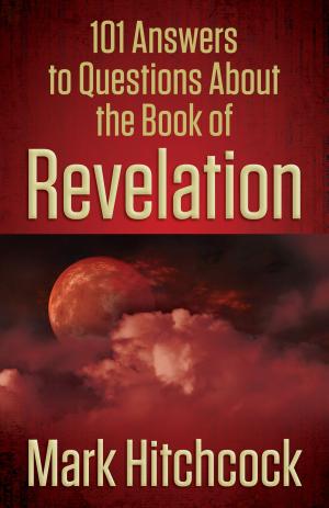 bigCover of the book 101 Answers to Questions About the Book of Revelation by 