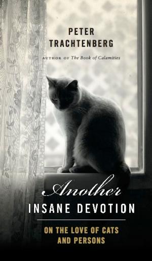 Cover of the book Another Insane Devotion by Caitlin Shetterly