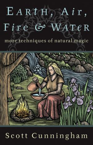 bigCover of the book Earth, Air, Fire &amp; Water by 