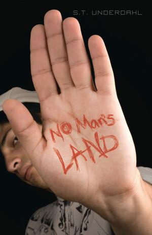Cover of the book No Man's Land by Kyle Jackson