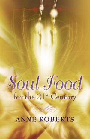 Cover of the book Soul Food for the 21st Century by Michael Bauer, Carina Bauer