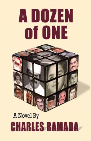 Cover of the book A Dozen of One by Bryan S. Bloom