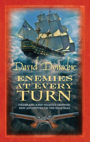 Cover of the book Enemies at Every Turn by Lawrence Scott