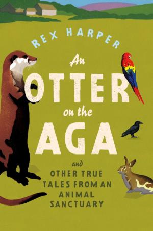 bigCover of the book An Otter on the Aga by 