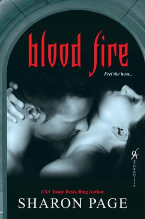 Cover of the book Blood Fire by Mollie Cox Bryan