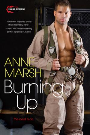 Cover of the book Burning Up by Amy Garvey, MaryJanice Davidson, Nancy J. Cohen, Jennifer Apodaca