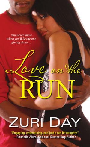 Book cover of Love On the Run