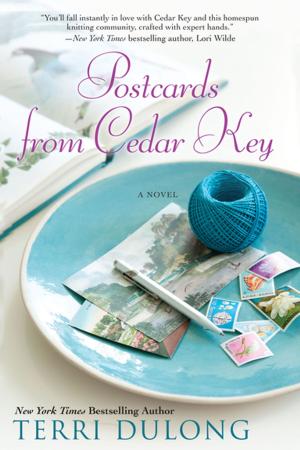 Cover of the book Postcards From Cedar Key by Amanda Skenandore