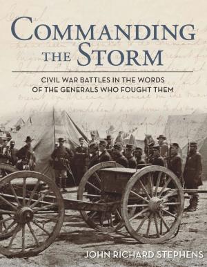 Cover of the book Commanding the Storm by Domingo Martinez