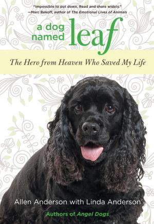 Book cover of Dog Named Leaf