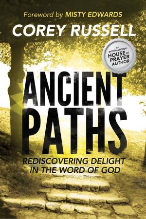 Book cover of Ancient Paths: Rediscovering Delight in the Word of God