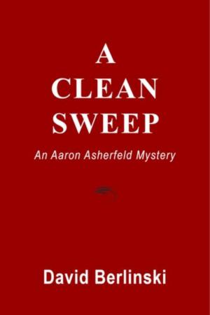 Cover of the book A Clean Sweep by Andrea Pinkney