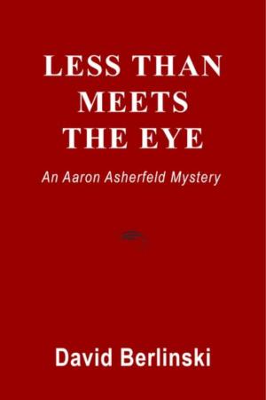 Cover of the book Less Than Meets The Eye by Fred  Lawrence Feldman